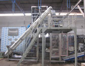 Ice Packing Machine